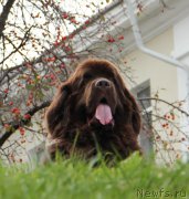 Превью фото № 191534