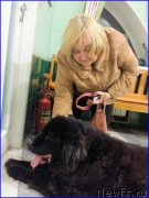 Превью фото № 191553