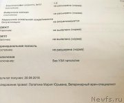 Превью фото № 191588