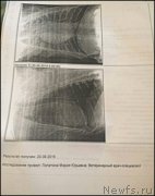 Превью фото № 191591