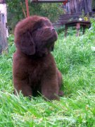 Превью фото № 191598