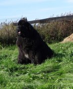 Превью фото № 191612