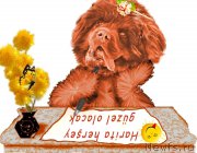 Превью фото № 191613