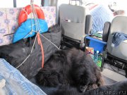 Превью фото № 191654