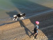 Превью фото № 191674