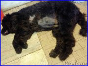 Превью фото № 191691