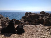 Превью фото № 191720