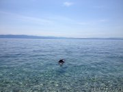 Превью фото № 191722