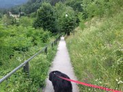 Превью фото № 191723