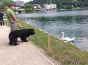 Превью фото № 191726