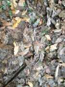 Превью фото № 191727