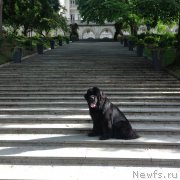 Превью фото № 191732