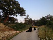 Превью фото № 191734