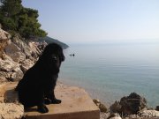 Превью фото № 191735