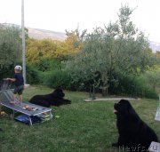 Превью фото № 191738