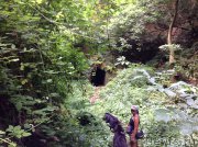 Превью фото № 191739