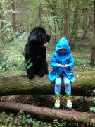 Превью фото № 191741