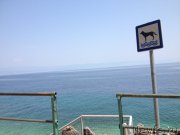 Превью фото № 191786