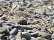 Превью фото № 191826