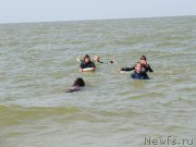 Превью фото № 191850