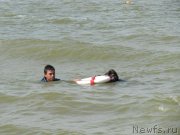 Превью фото № 191859