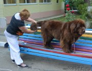 Превью фото № 192112