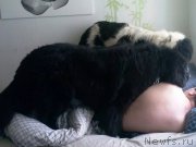 Превью фото № 192174