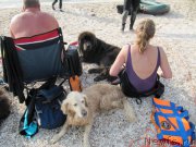 Превью фото № 192232