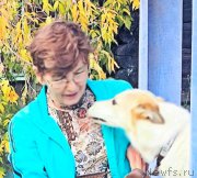 Превью фото № 192235