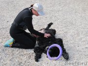 Превью фото № 192239