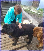 Превью фото № 192258