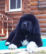 Превью фото № 192286