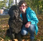 Превью фото № 192292