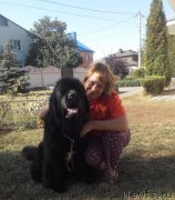 Превью фото № 192314