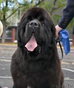 Превью фото № 192321