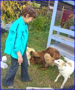 Превью фото № 192389