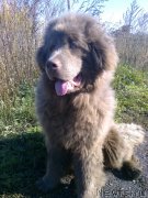 Превью фото № 192428