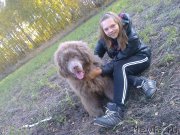 Превью фото № 192429