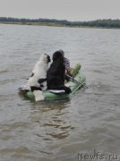 Превью фото № 192475