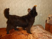 Превью фото № 192487