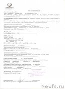 Превью фото № 192524