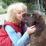 Превью фото № 19257