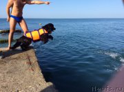 Превью фото № 192608