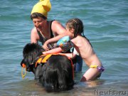 Превью фото № 192614