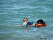 Превью фото № 192617