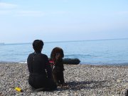 Превью фото № 192682