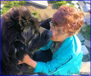 Превью фото № 192687