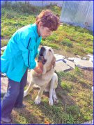 Превью фото № 192688