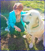 Превью фото № 192690