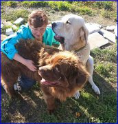 Превью фото № 192694